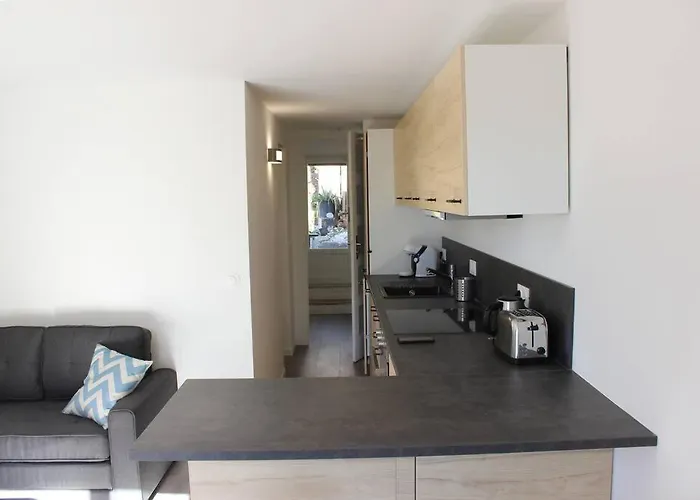 La Petite Rascasse, Appartement Avec Terrasse Ensoleillee