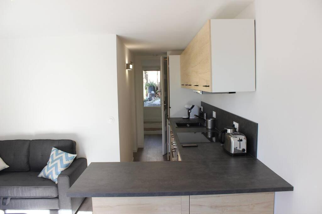 Appartement La Petite Rascasse, Avec Terrasse Ensoleillee